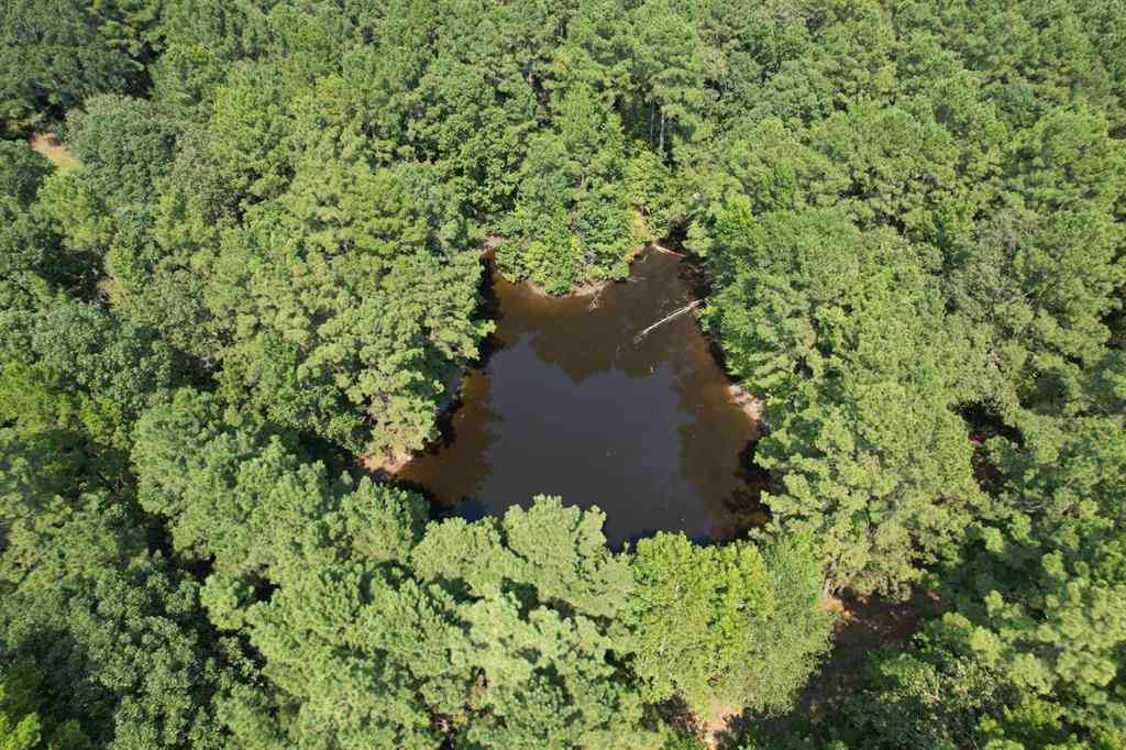 Vacant Land For Sale - TBD County Road 283<br/> Nacogdoches County, Garrison, TX 75946