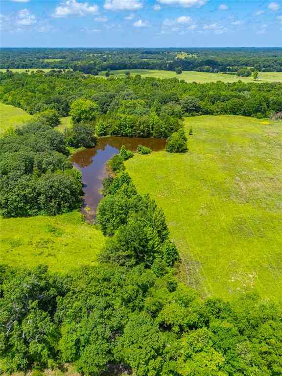 Vacant Land For Sale - County Road 3311<br/> Omaha, TX 75571