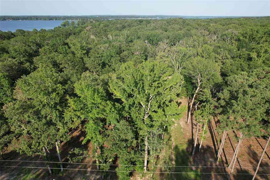 Vacant Land For Sale - 3226 Shadow Pine Drive<br/> Larue, TX 75770