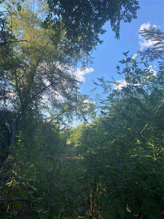 Vacant Land For Sale - LOT 38 Harris<br/> Hopkins County, Sulphur Springs, TX 75482