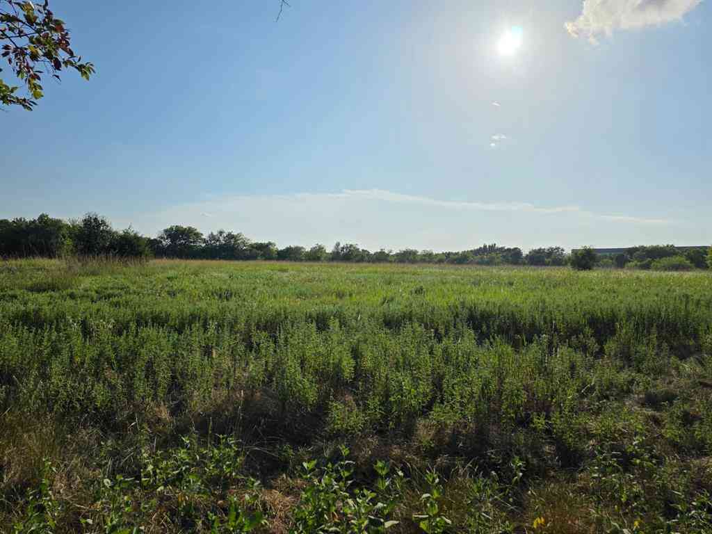 Vacant Land For Sale - 0000 N Grayson Street<br/> Groesbeck, TX 76642