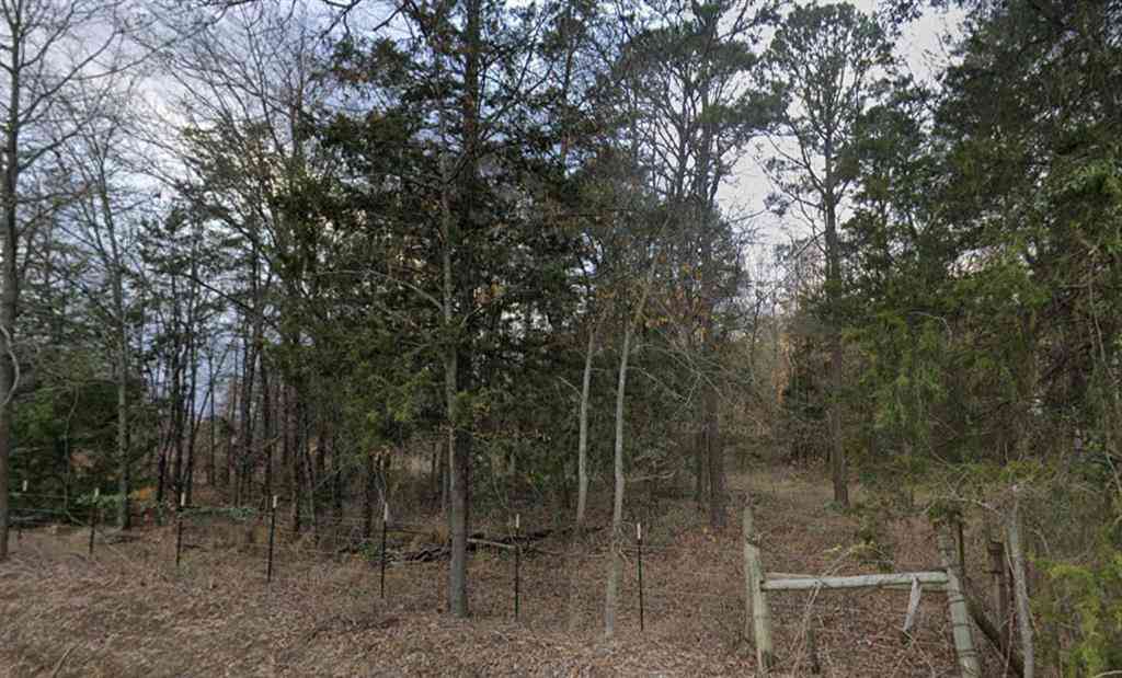 Vacant Land For Sale - TBD County Road Se 4350<br/> Scroggins, TX 75480