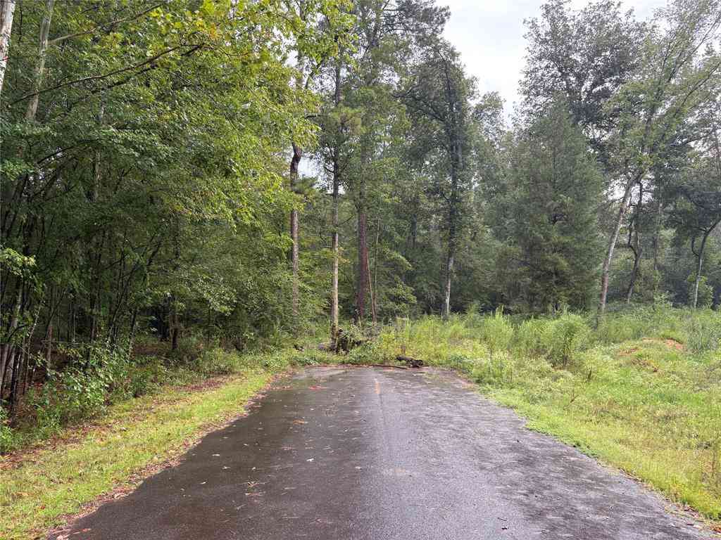 Vacant Land For Sale - Fox Skin Drive<br/> Haughton, LA 71037