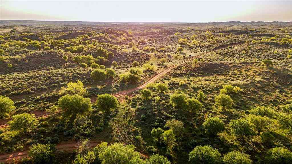 Vacant Land For Sale - 1241 County Road 24<br/> Hall County, Estelline, TX 79201