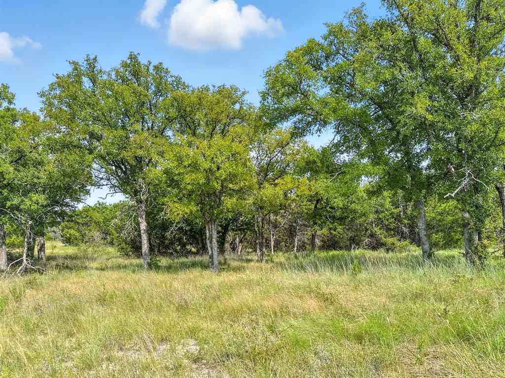 Vacant Land For Sale - LOT 39 PH 6 Private Road 42103<br/> Evant, TX 76525