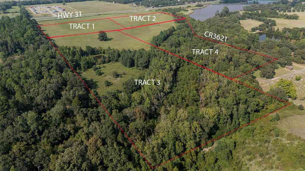 Vacant Land For Sale - LOT 3 Tx-31<br/> Brownsboro, TX 75756