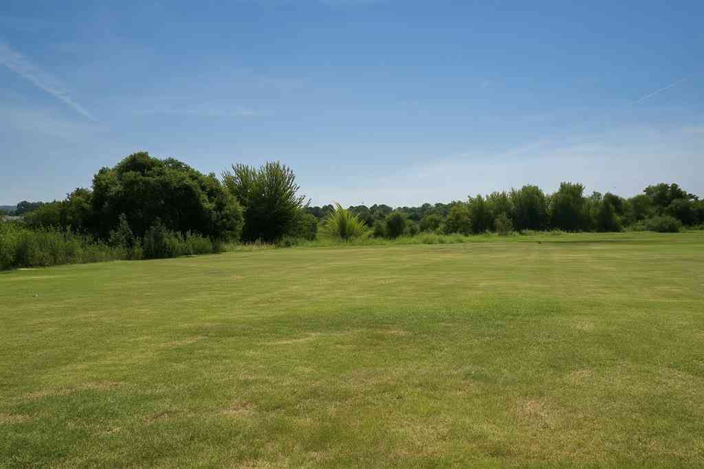 Vacant Land For Sale - 392 Clubhouse Drive<br/> Joshua, TX 76058
