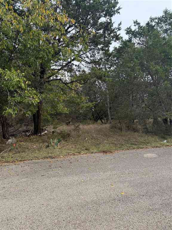 Vacant Land For Sale - Teakwood Lane<br/> Bell County, Morgans Point Resort, TX 76513