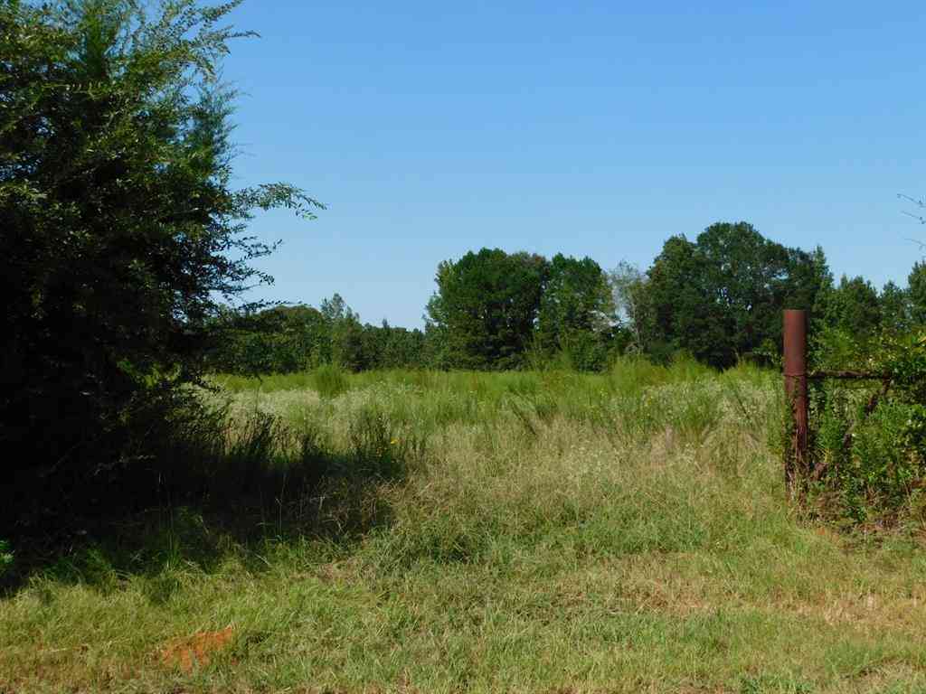 Vacant Land For Sale - Cox Road<br/> Webster County, Sarepta, LA 71071