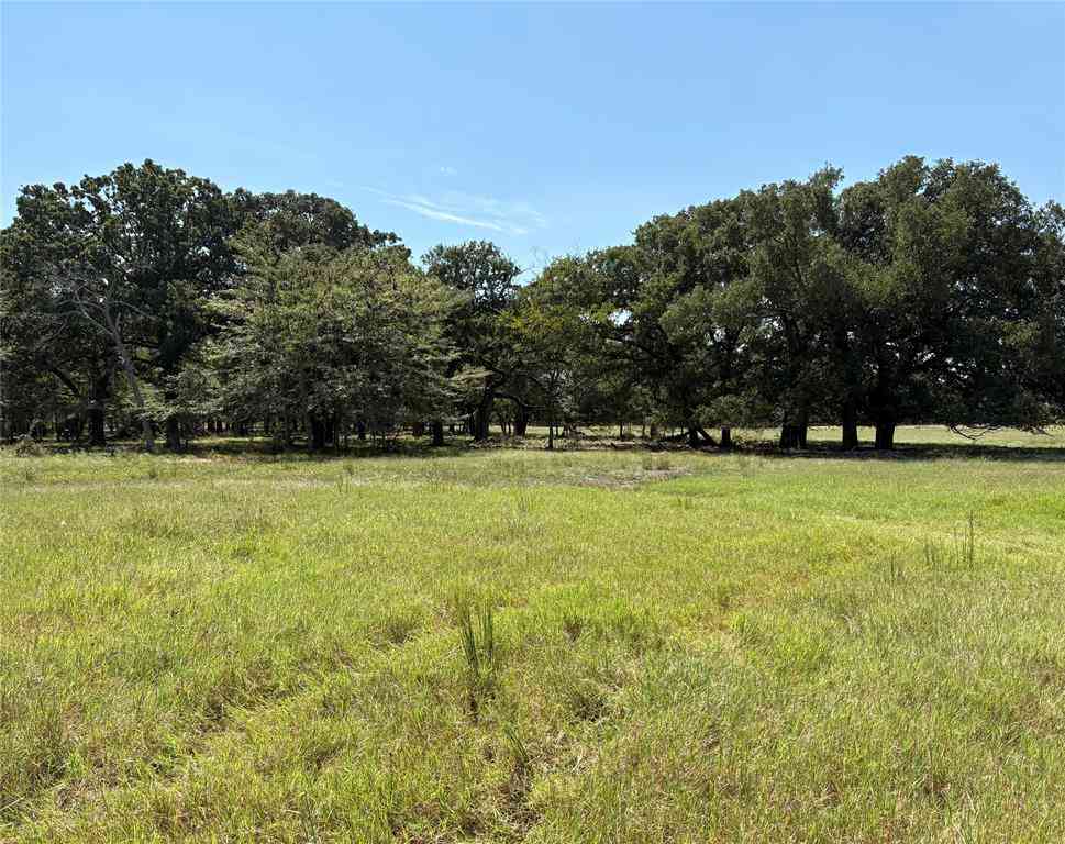 Vacant Land For Sale - TBD 1 County Road 1168 #TRACT 1<br/> Brashear, TX 75420