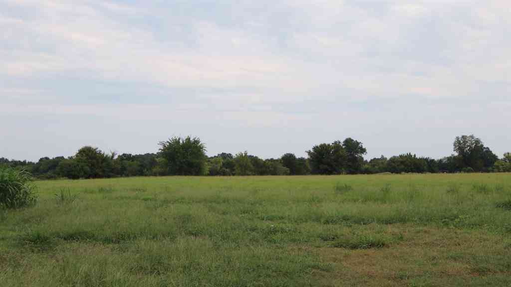 Vacant Land For Sale - TBD Rs County Road 3425<br/> Emory, TX 75440
