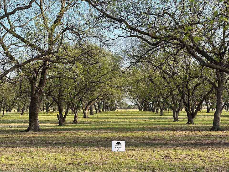 Vacant Land For Sale - TBD Cr 461<br/> De Leon, TX 76444