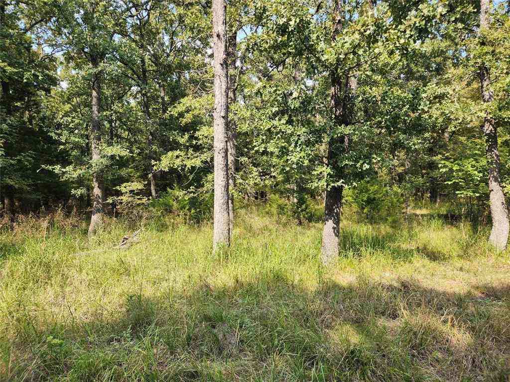 Vacant Land For Sale - LOT 31 Fox Point Road<br/> Quinlan, TX 75474