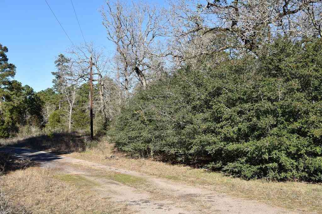 Vacant Land For Sale - 8900 Fm 229<br/> Grapeland, TX 75844