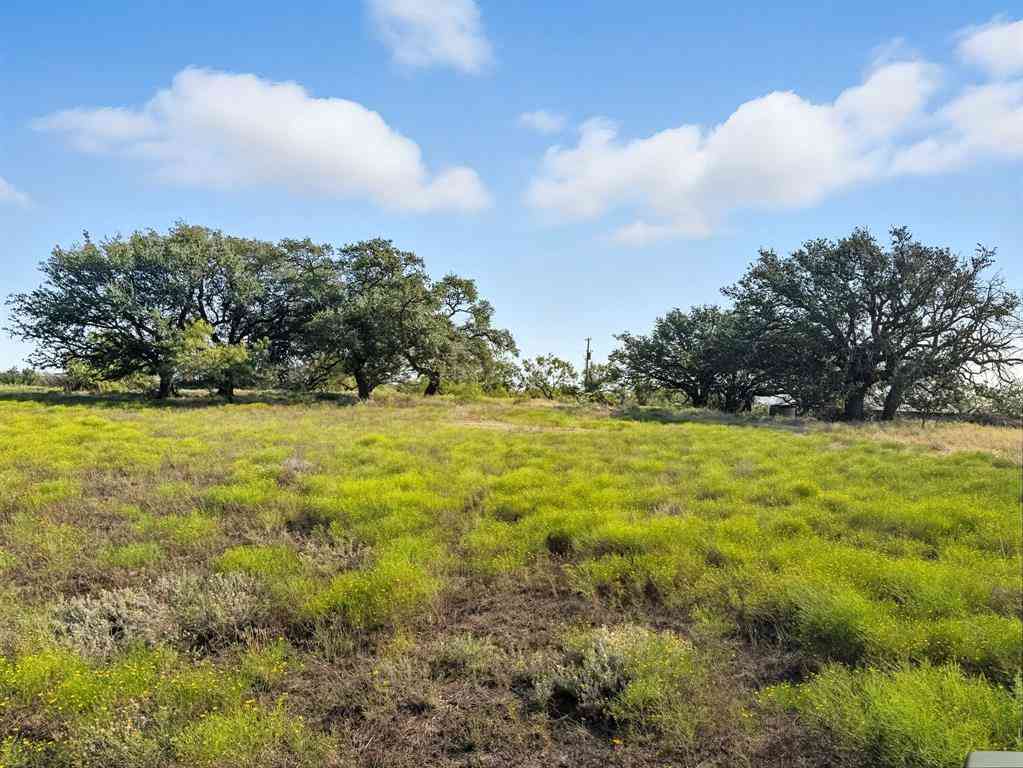 Vacant Land For Sale - TBD Fm 221<br/> Pottsville, TX 76565