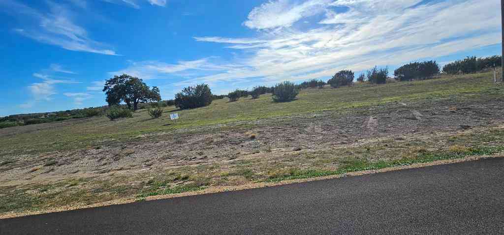 Vacant Land For Sale - 478 Hollow Drive<br/> Hood County, Lipan, TX 76048
