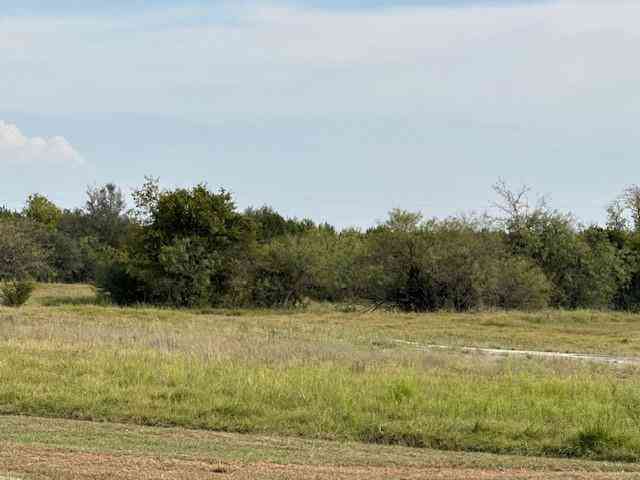 Vacant Land For Sale - 1015 White Bluff Drive<br/> Whitney, TX 76692