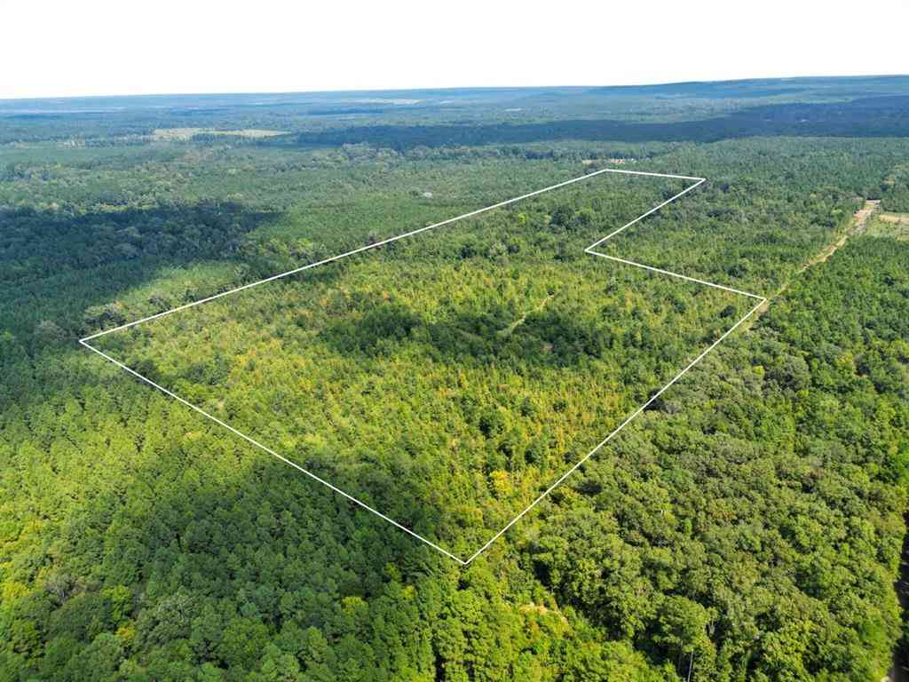 Vacant Land For Sale - 2918 La-153 Highway<br/> Bienville County, Castor, LA 71016