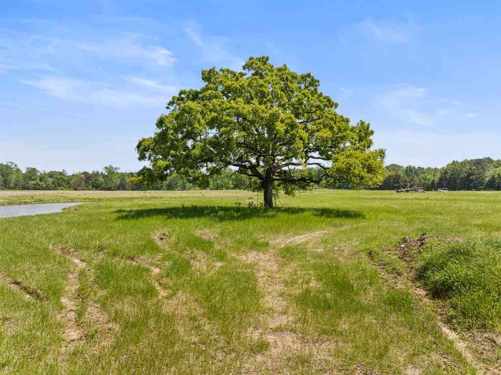 Vacant Land For Sale - LOT A County Road 3324<br/> Camp County, Pittsburg, TX 75686