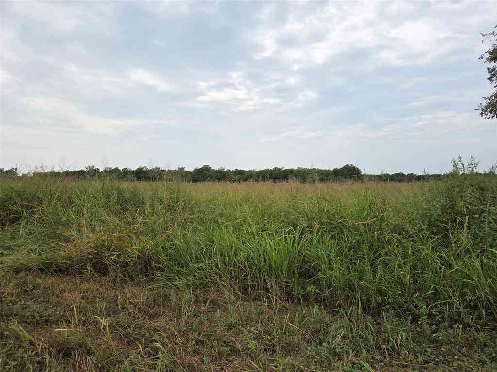Vacant Land For Sale - TBD County Road 3615<br/> Fannin County, Honey Grove, TX 75446