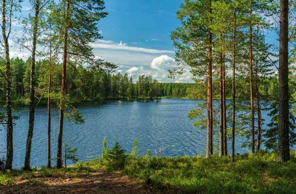 Vacant Land For Sale - 50 Cr 3227 Lot 3<br/> Titus County, Mount Pleasant, TX 75455
