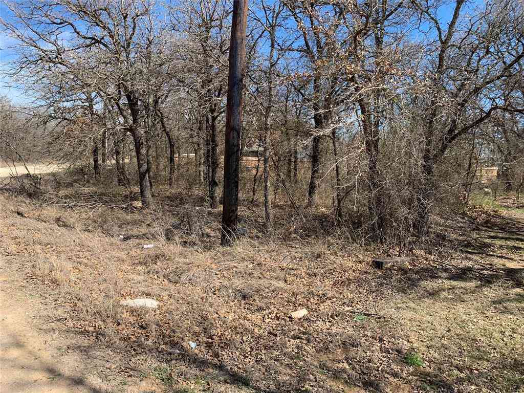 Vacant Land For Sale - LOT2 BLOK 2 Lark Meadow Drive<br/> Wise County, Bridgeport, TX 76426