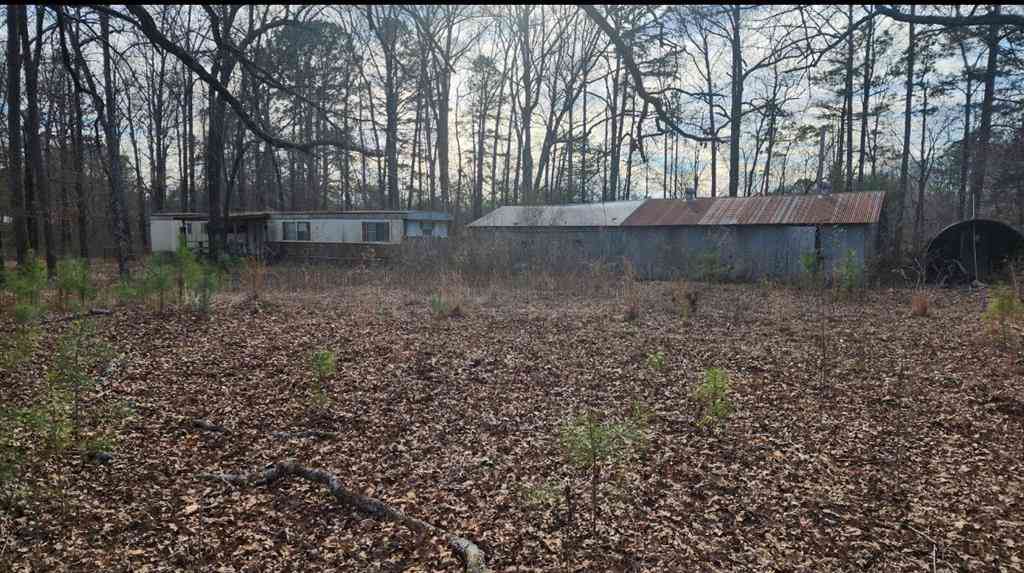 Vacant Land For Sale - 19074 Highway 371<br/> Webster County, Cotton Valley, LA 71018