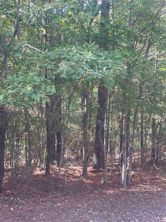 Vacant Land For Sale - Ferry Lake Tract B<br/> Oil City, LA 71061