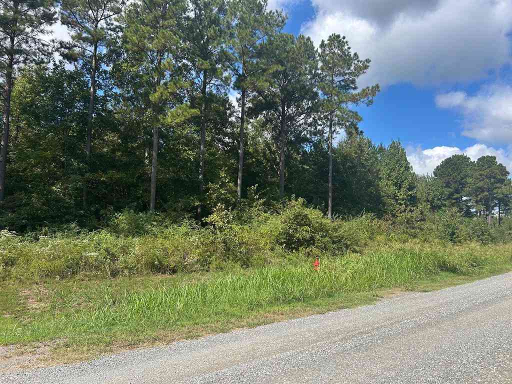 Vacant Land For Sale - Cottonwood<br/> Frierson, LA 71027