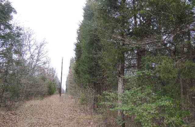 Vacant Land For Sale - TBD County Road 4455<br/> Rains County, Point, TX 75472