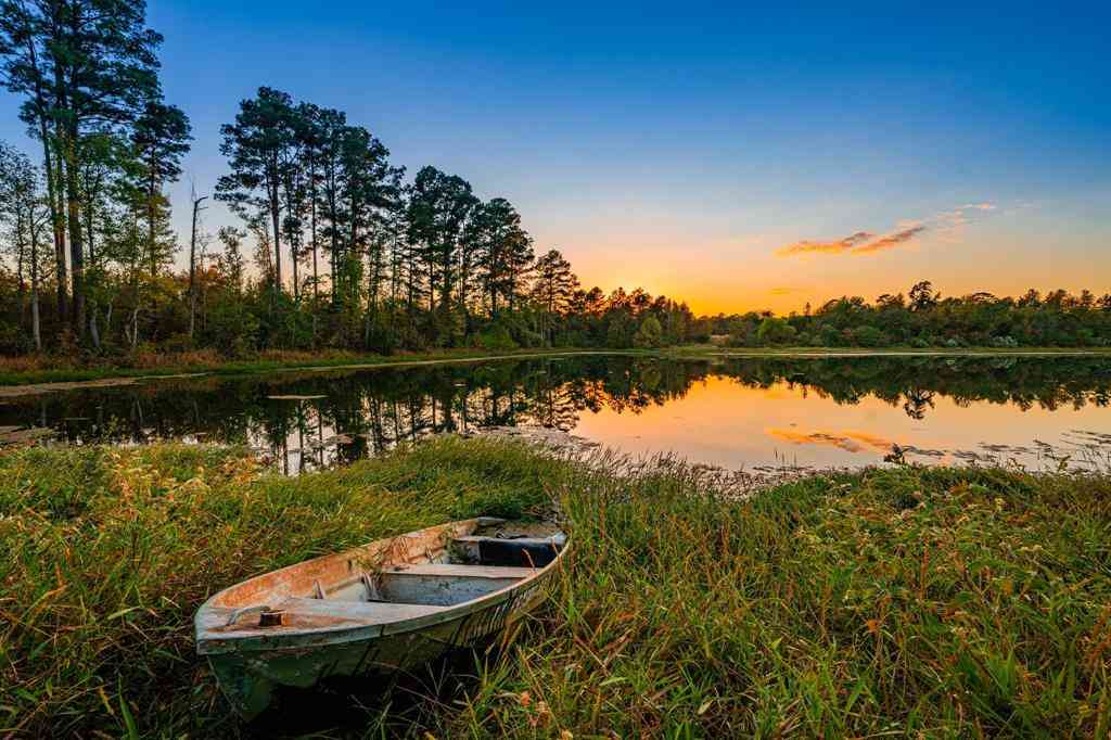 Vacant Land For Sale - 00 Cr-3411<br/> Henderson County, Chandler, TX 75758