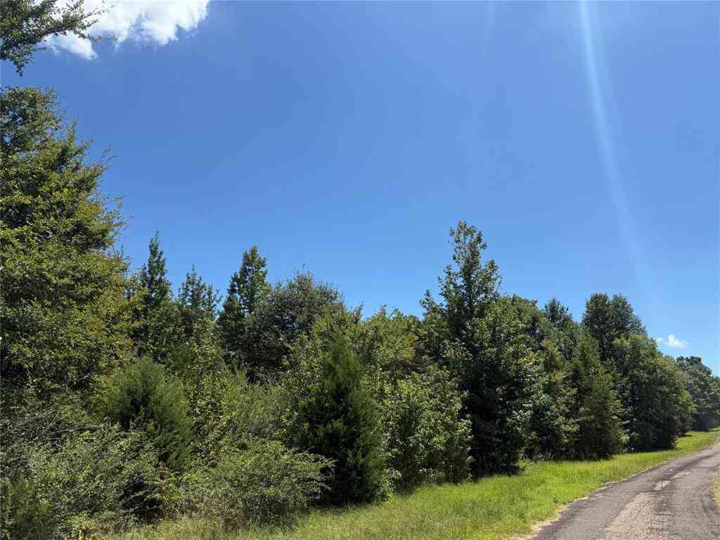 Vacant Land For Sale - TBD Cr 1662<br/> Titus County, Mount Pleasant, TX 75455