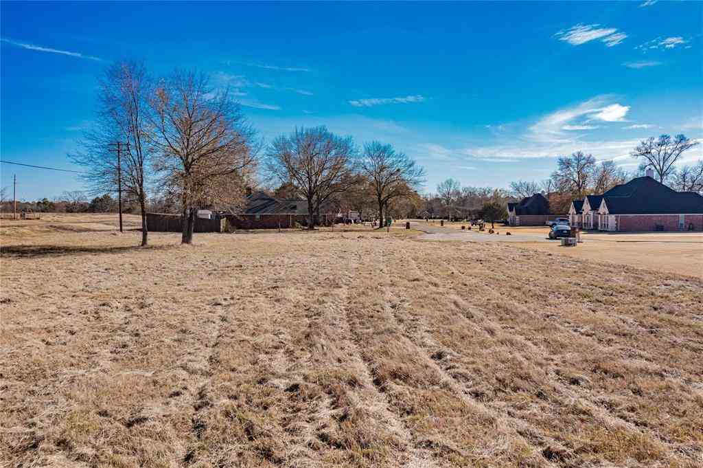 Vacant Land For Sale - 16 County Road 2910<br/> Wood County, Mineola, TX 75773
