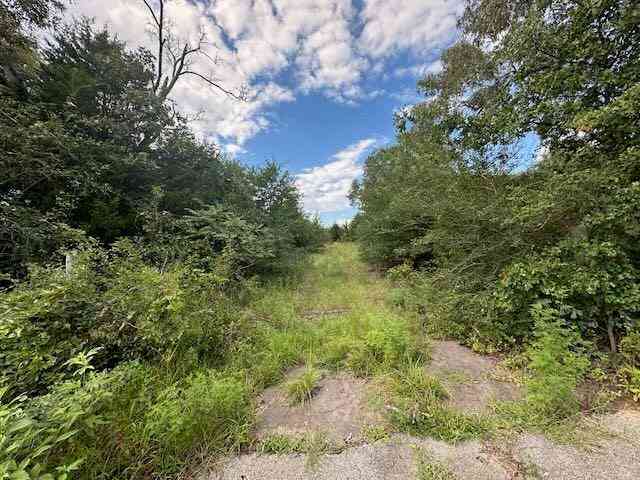 Vacant Land For Sale - TBD Vz Cr 1823<br/> Van Zandt County, Grand Saline, TX 75140