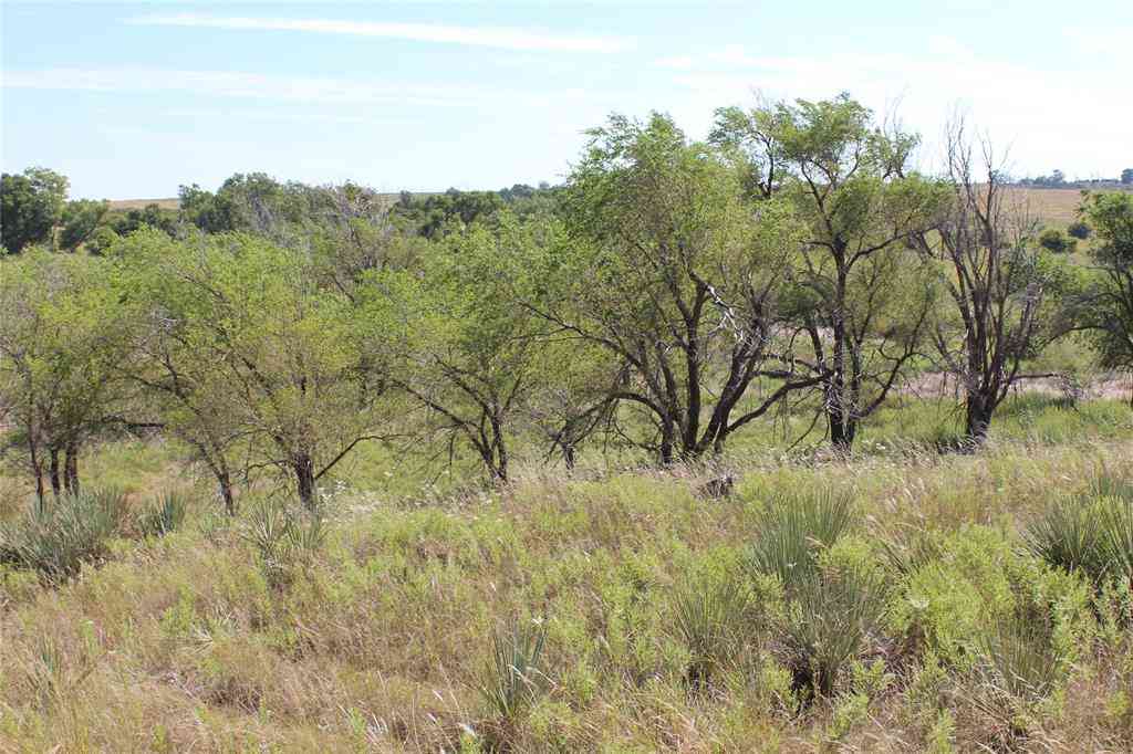 Vacant Land For Sale - TBD 180<br/> Memphis, TX 79245