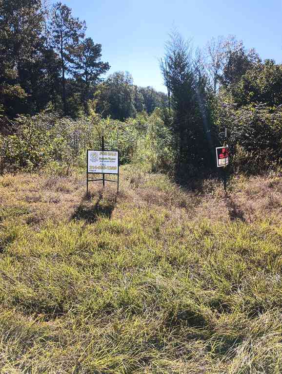 Vacant Land For Sale - 454 County Road 3334<br/> Atlanta, TX 75551