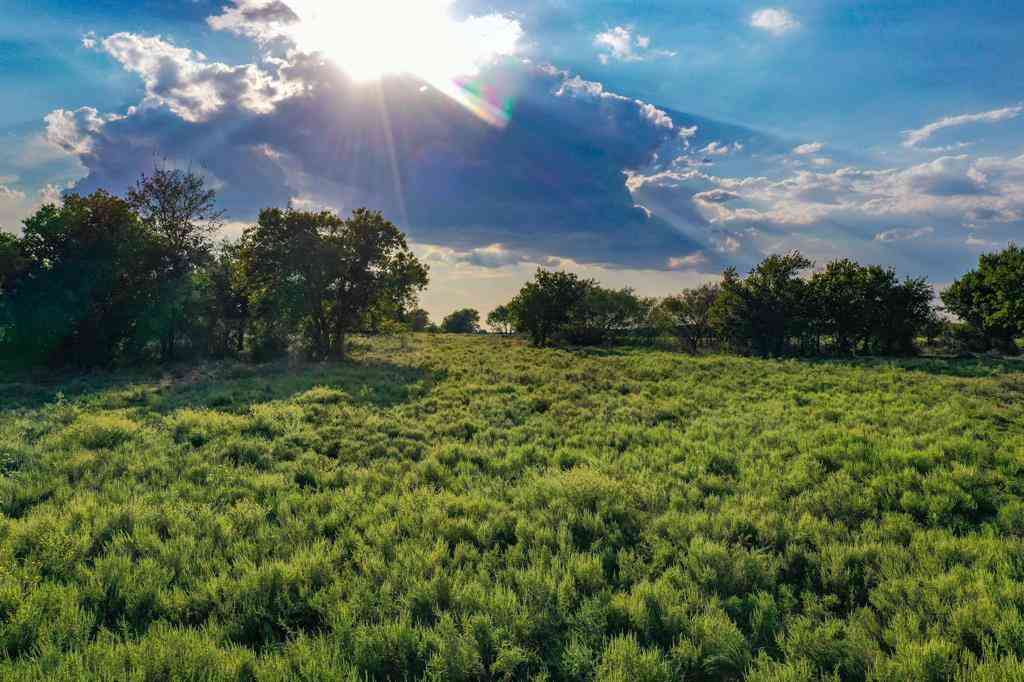 Vacant Land For Sale - 99.97 ACRES S 281 Highway<br/> Perrin, TX 76486