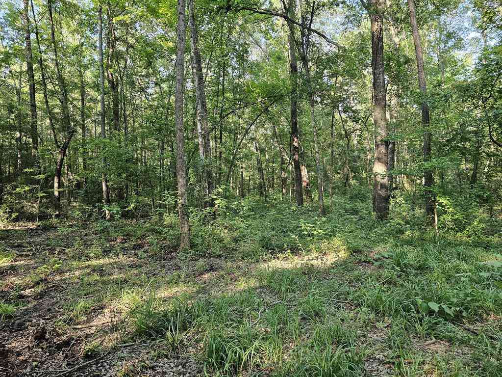 Vacant Land For Sale - TBD Strickland Road<br/> Upshur County, Big Sandy, TX 75755