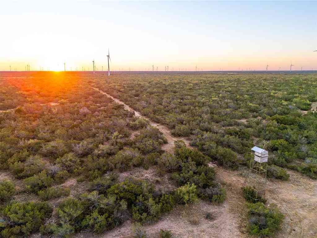 Vacant Land For Sale - TBD Walnut Road<br/> Robert Lee, TX 76945