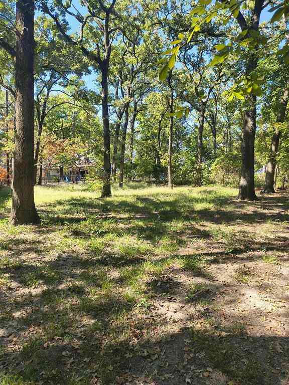 Vacant Land For Sale - 0 TBD Harbor Drive<br/> Gun Barrel City, TX 75156