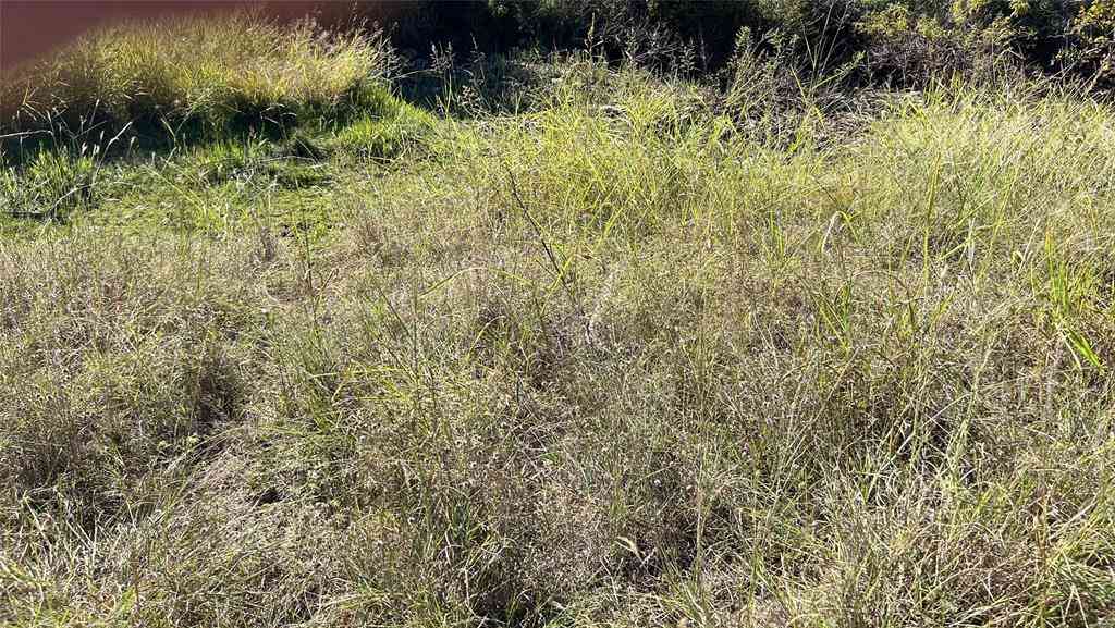Vacant Land For Sale - 29 &30 Brook Valley Drive<br/> May, TX 76857