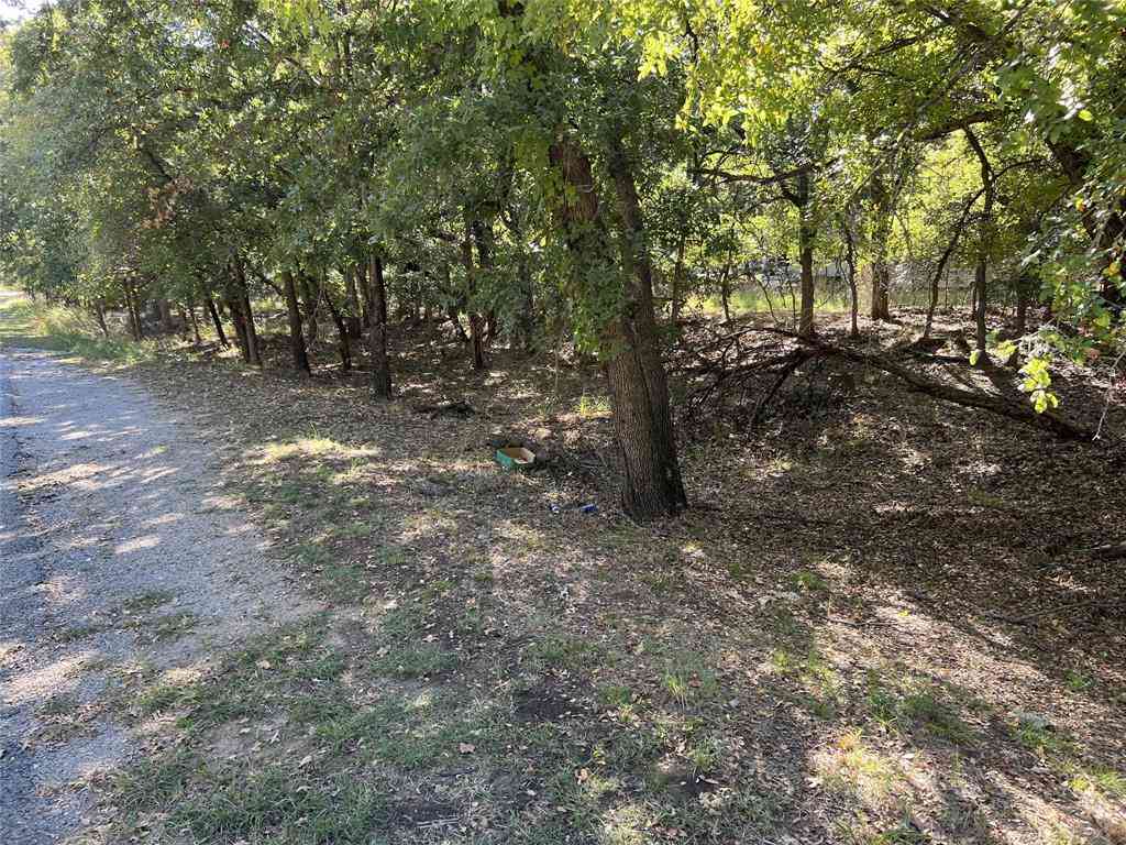 Vacant Land For Sale - 366 Timberdell Drive<br/> May, TX 76857