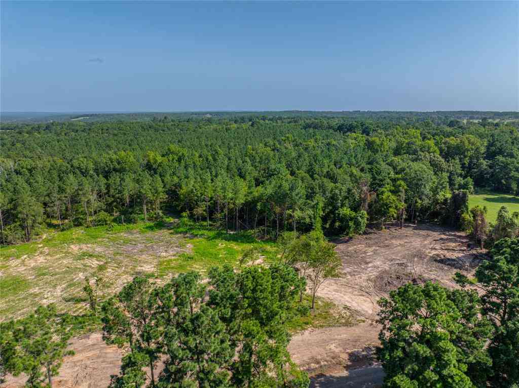 Vacant Land For Sale - NW County Road 1713<br/> Jacksonville, TX 75766
