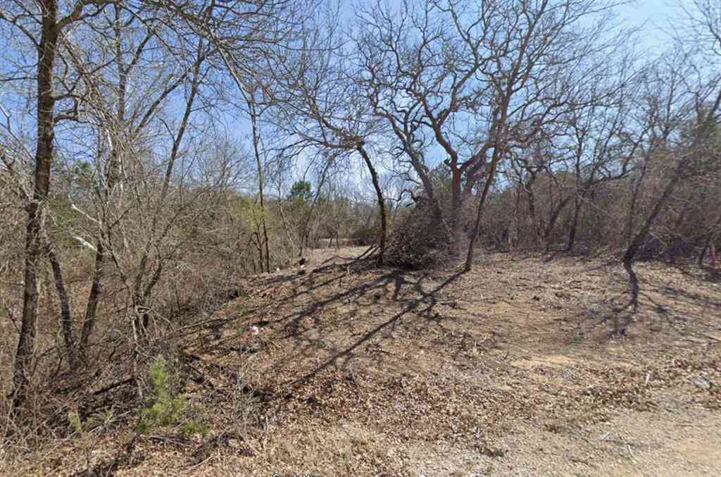 Vacant Land For Sale - 6209 Texas Trail<br/> Granbury, TX 76048