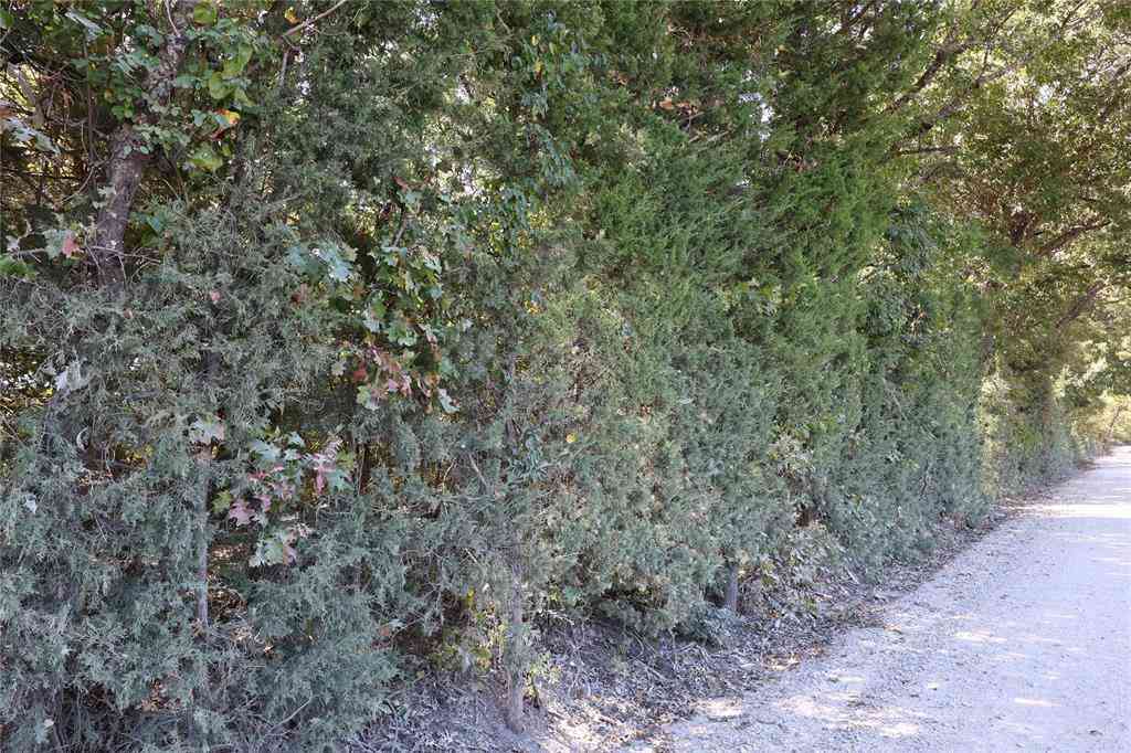 Vacant Land For Sale - TBD LOT 3 County Road 2005<br/> Bonham, TX 75418