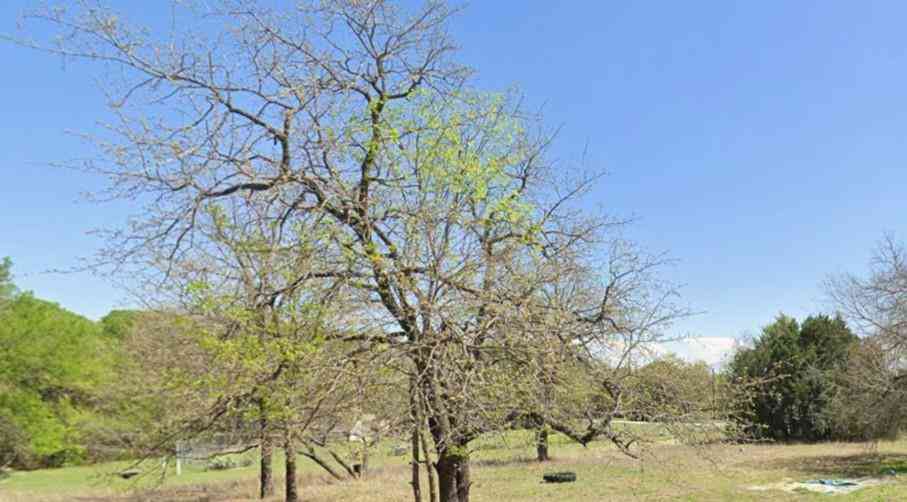Vacant Land For Sale - 3801 California Court<br/> Granbury, TX 76048