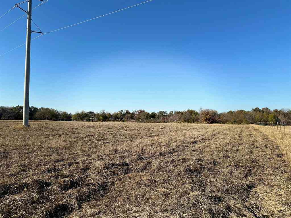 Vacant Land For Sale - 5517 Pr 5107<br/> Henderson County, Athens, TX 75752