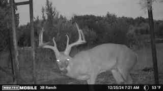 Vacant Land For Sale - 815 Cr 2080<br/> Lampasas County, Lometa, TX 76853