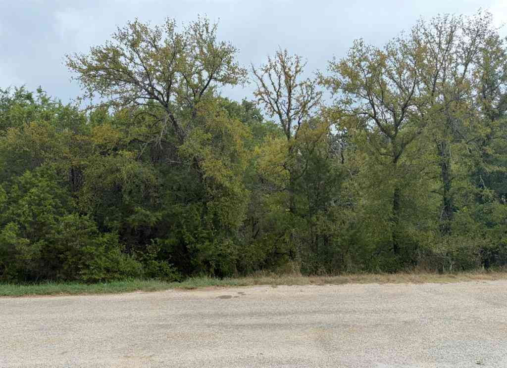 Vacant Land For Sale - 2509 White Oak Trail<br/> Granbury, TX 76048