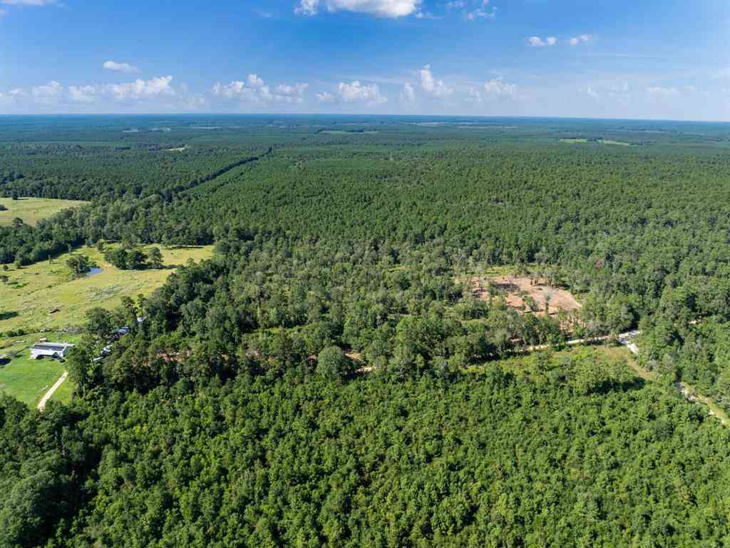 Vacant Land For Sale - 262 Maze Road<br/> Polk County, Livingston, TX 77351